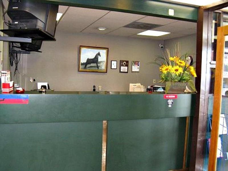Walking Horse Lodge Lewisburg Экстерьер фото